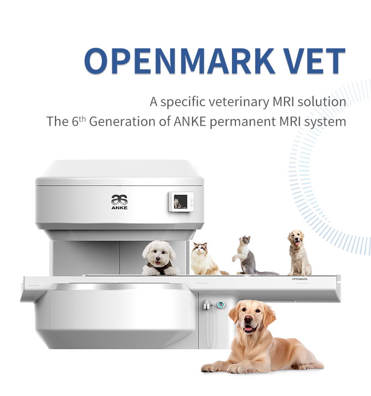 Permanent MRI System for vet